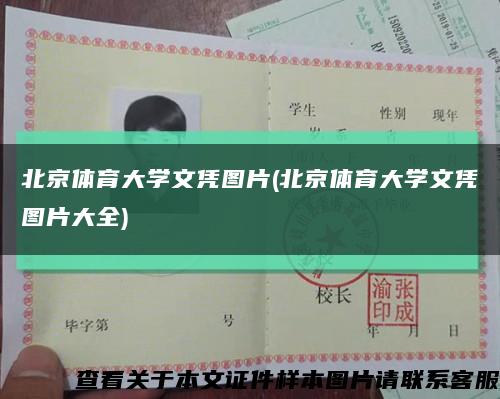 北京体育大学文凭图片(北京体育大学文凭图片大全)缩略图