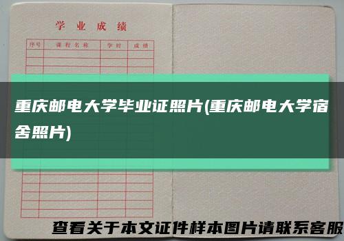 重庆邮电大学毕业证照片(重庆邮电大学宿舍照片)缩略图