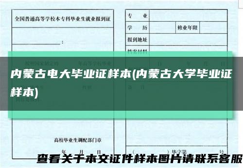 内蒙古电大毕业证样本(内蒙古大学毕业证样本)缩略图