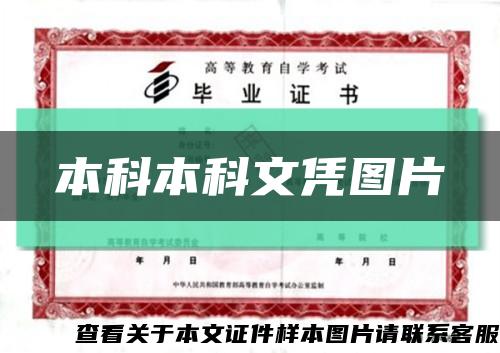 本科本科文凭图片缩略图