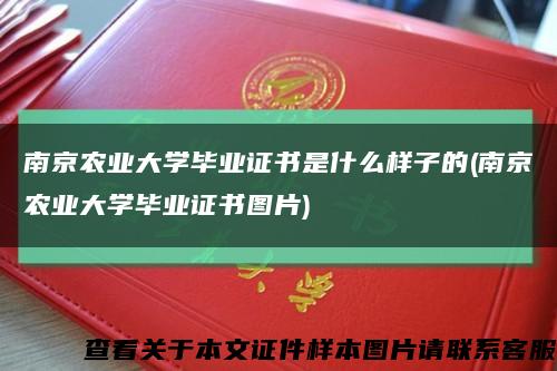 南京农业大学毕业证书是什么样子的(南京农业大学毕业证书图片)缩略图