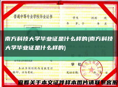 南方科技大学毕业证是什么样的(南方科技大学毕业证是什么样的)缩略图