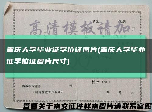 重庆大学毕业证学位证图片(重庆大学毕业证学位证图片尺寸)缩略图