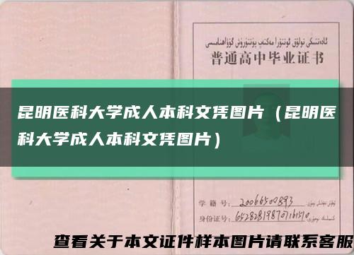 昆明医科大学成人本科文凭图片（昆明医科大学成人本科文凭图片）缩略图