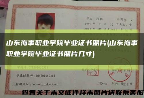 山东海事职业学院毕业证书照片(山东海事职业学院毕业证书照片几寸)缩略图