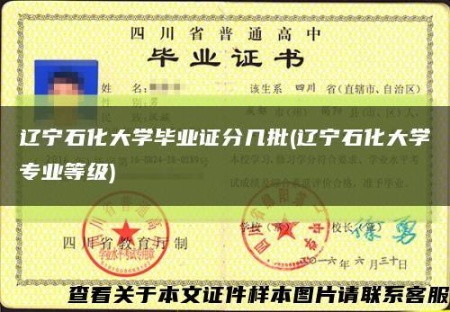 辽宁石化大学毕业证分几批(辽宁石化大学专业等级)缩略图