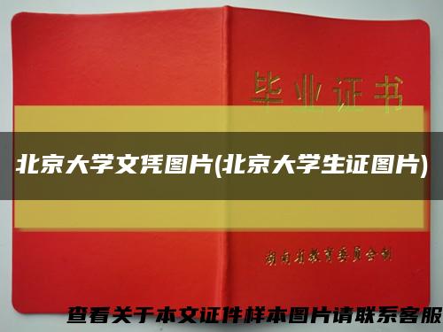 北京大学文凭图片(北京大学生证图片)缩略图