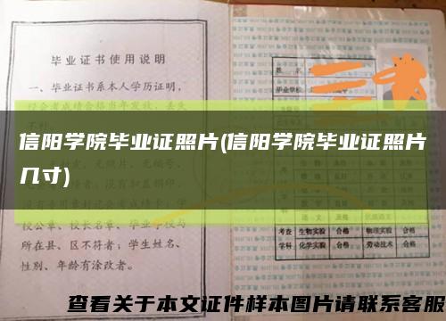 信阳学院毕业证照片(信阳学院毕业证照片几寸)缩略图