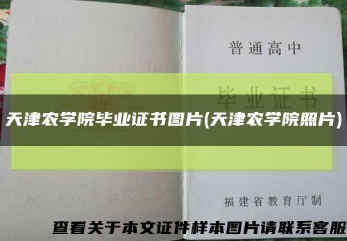 天津农学院毕业证书图片(天津农学院照片)缩略图