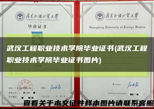 武汉工程职业技术学院毕业证书(武汉工程职业技术学院毕业证书图片)缩略图