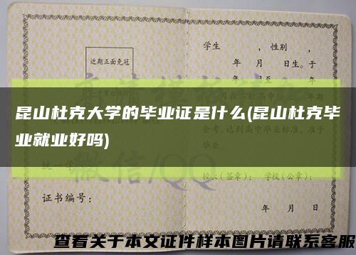 昆山杜克大学的毕业证是什么(昆山杜克毕业就业好吗)缩略图