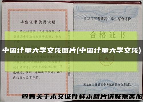 中国计量大学文凭图片(中国计量大学文凭)缩略图
