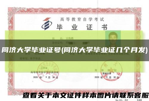 同济大学毕业证号(同济大学毕业证几个月发)缩略图
