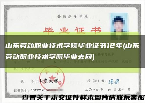 山东劳动职业技术学院毕业证书12年(山东劳动职业技术学院毕业去向)缩略图