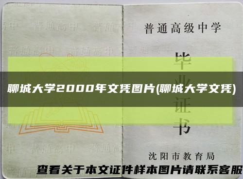 聊城大学2000年文凭图片(聊城大学文凭)缩略图