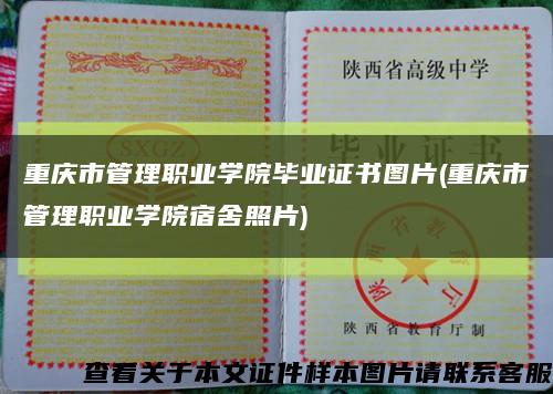 重庆市管理职业学院毕业证书图片(重庆市管理职业学院宿舍照片)缩略图