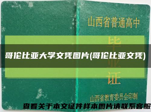 哥伦比亚大学文凭图片(哥伦比亚文凭)缩略图