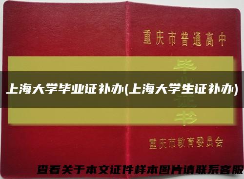 上海大学毕业证补办(上海大学生证补办)缩略图