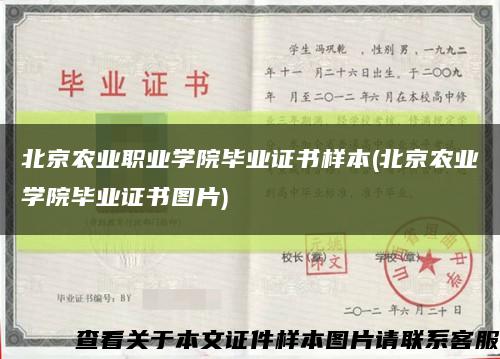 北京农业职业学院毕业证书样本(北京农业学院毕业证书图片)缩略图