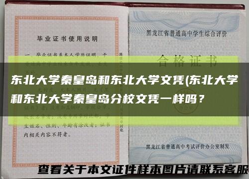 东北大学秦皇岛和东北大学文凭(东北大学和东北大学秦皇岛分校文凭一样吗？缩略图