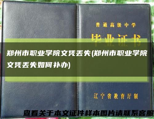 郑州市职业学院文凭丢失(郑州市职业学院文凭丢失如何补办)缩略图