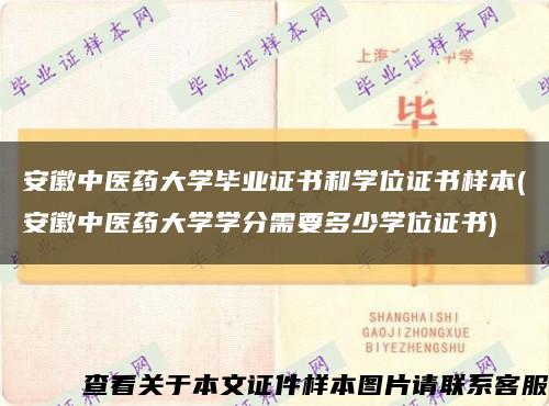 安徽中医药大学毕业证书和学位证书样本(安徽中医药大学学分需要多少学位证书)缩略图