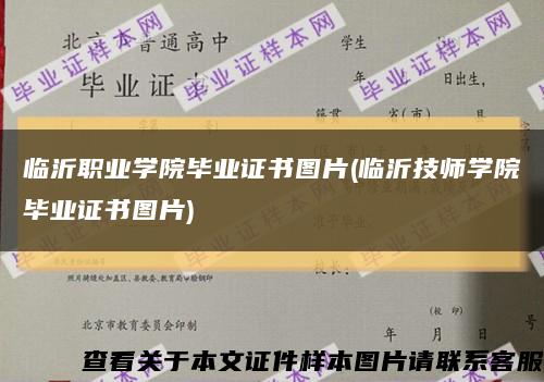 临沂职业学院毕业证书图片(临沂技师学院毕业证书图片)缩略图