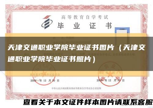 天津交通职业学院毕业证书图片（天津交通职业学院毕业证书照片）缩略图