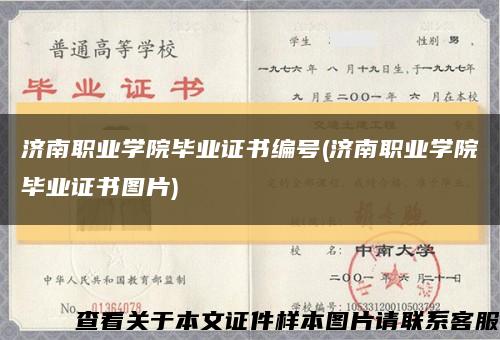 济南职业学院毕业证书编号(济南职业学院毕业证书图片)缩略图