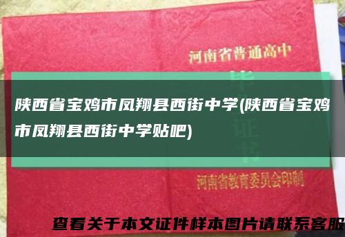 陕西省宝鸡市凤翔县西街中学(陕西省宝鸡市凤翔县西街中学贴吧)缩略图
