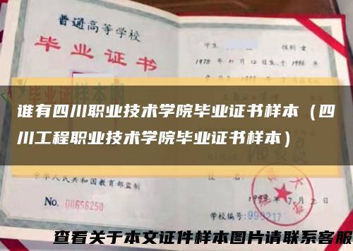 谁有四川职业技术学院毕业证书样本（四川工程职业技术学院毕业证书样本）缩略图