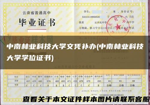中南林业科技大学文凭补办(中南林业科技大学学位证书)缩略图