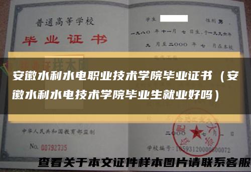 安徽水利水电职业技术学院毕业证书（安徽水利水电技术学院毕业生就业好吗）缩略图