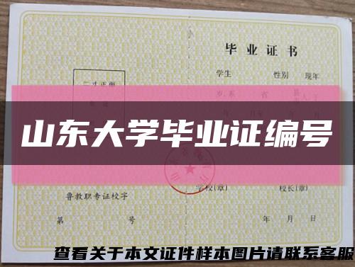 山东大学毕业证编号缩略图
