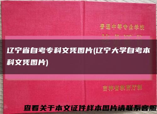 辽宁省自考专科文凭图片(辽宁大学自考本科文凭图片)缩略图