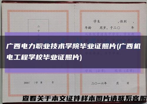 广西电力职业技术学院毕业证照片(广西机电工程学校毕业证照片)缩略图