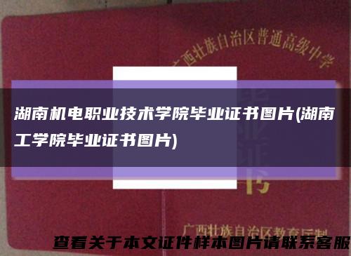 湖南机电职业技术学院毕业证书图片(湖南工学院毕业证书图片)缩略图