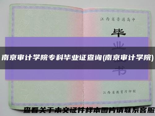 南京审计学院专科毕业证查询(南京审计学院)缩略图