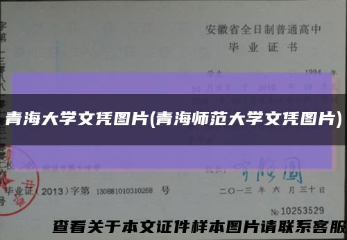 青海大学文凭图片(青海师范大学文凭图片)缩略图