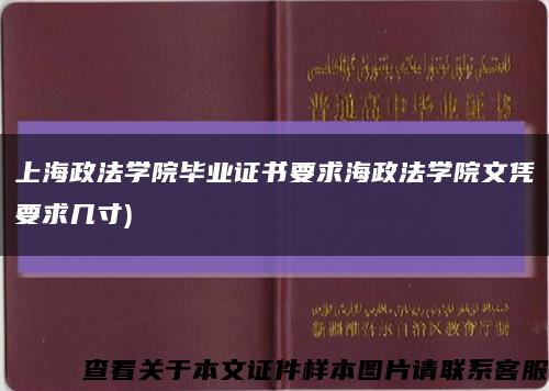 上海政法学院毕业证书要求海政法学院文凭要求几寸)缩略图