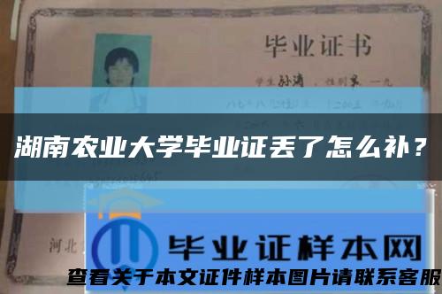 湖南农业大学毕业证丢了怎么补？缩略图
