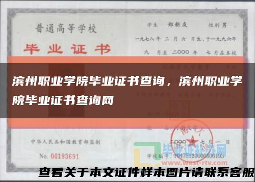 滨州职业学院毕业证书查询，滨州职业学院毕业证书查询网缩略图