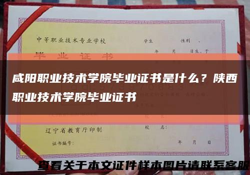 咸阳职业技术学院毕业证书是什么？陕西职业技术学院毕业证书缩略图
