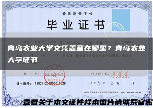 青岛农业大学文凭盖章在哪里？青岛农业大学证书缩略图