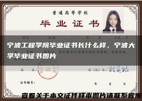 宁波工程学院毕业证书长什么样，宁波大学毕业证书图片缩略图