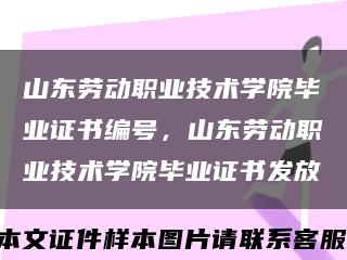 山东劳动职业技术学院毕业证书编号，山东劳动职业技术学院毕业证书发放缩略图
