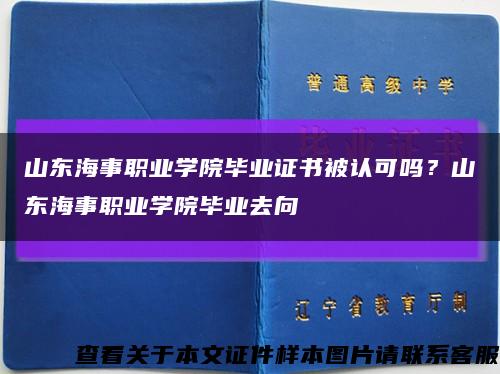 山东海事职业学院毕业证书被认可吗？山东海事职业学院毕业去向缩略图