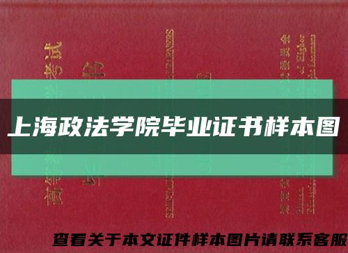 上海政法学院毕业证书样本图缩略图
