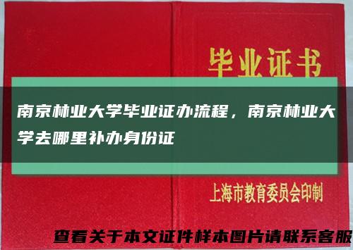 南京林业大学毕业证办流程，南京林业大学去哪里补办身份证缩略图