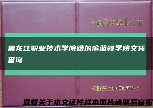 黑龙江职业技术学院哈尔滨蓝领学院文凭查询缩略图
